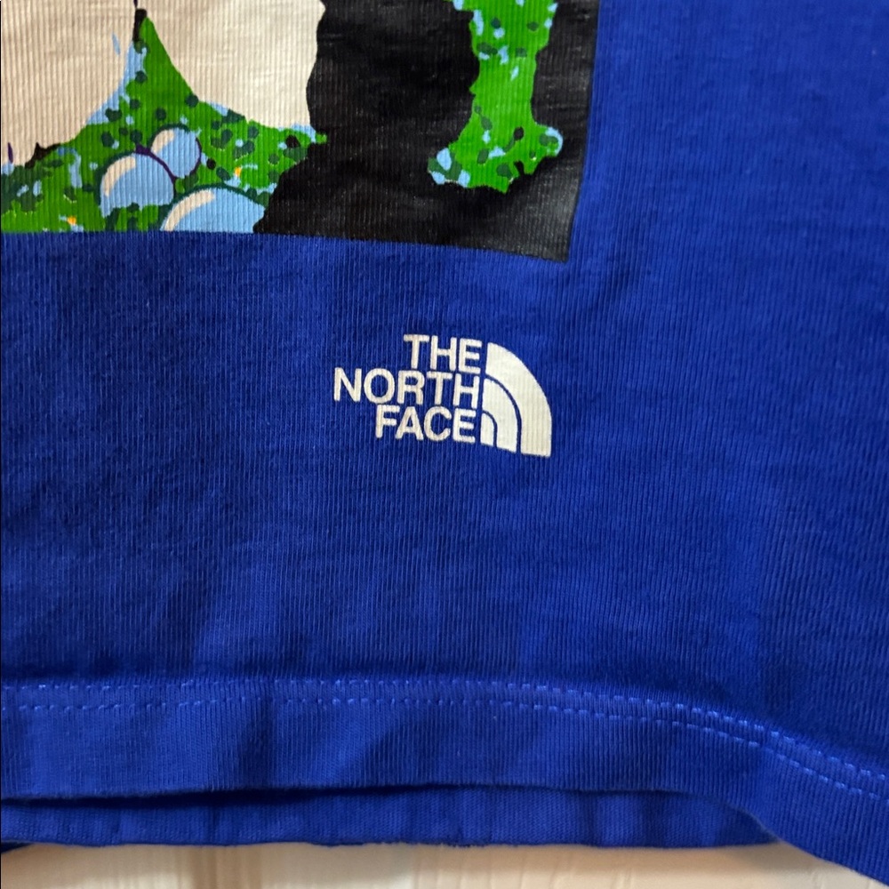 The North Face Kids Blue Short-Sleeve Graphic Tee - Picture 2 of 7
